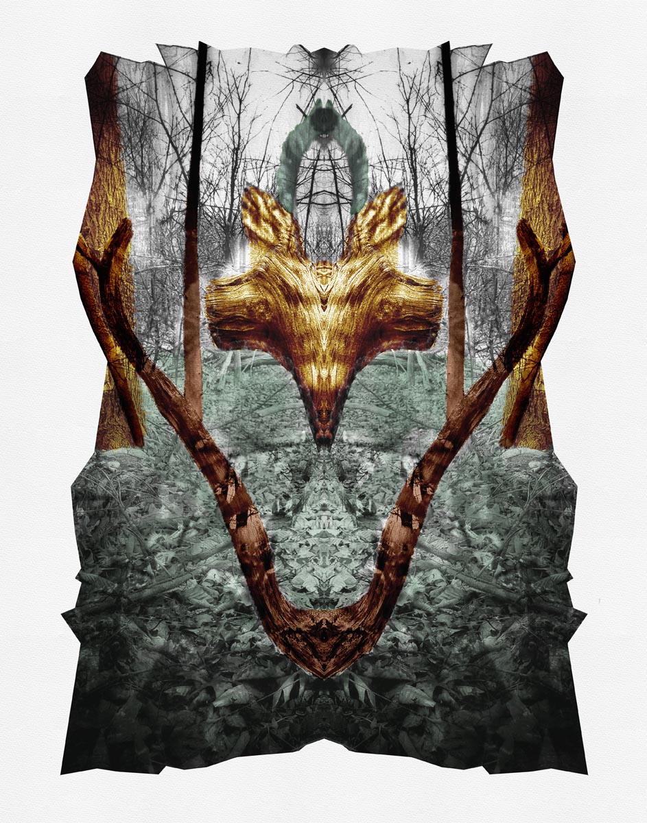 Spirit of the Hollow
